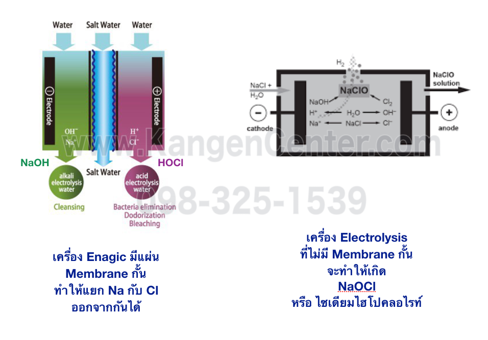 HOCl vs NaOCl