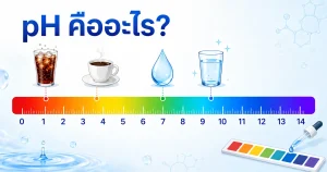 สเกล pH ตั้งแต่ 0-14 แสดงตำแหน่งของน้ำอัดลม กาแฟ น้ำเปล่า และน้ำด่างบนสเกลความเป็นกรด-ด่าง