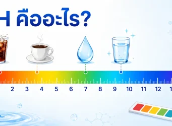สเกล pH ตั้งแต่ 0-14 แสดงตำแหน่งของน้ำอัดลม กาแฟ น้ำเปล่า และน้ำด่างบนสเกลความเป็นกรด-ด่าง